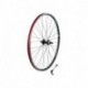 Electra Townie Original-21D Men's Wheel