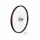 Electra Townie Go! Wheels