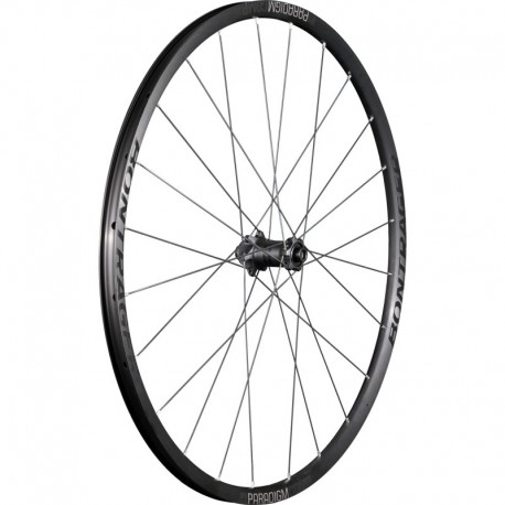 Rueda Bontrager Paradigm Comp TLR Disc Carretera