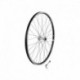 Electra Townie Original-7D Men's Wheel