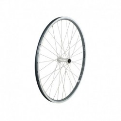 Electra Townie-7D Ladies' Wheel