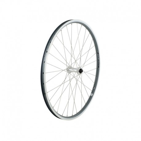 Electra Townie-7D Ladies' Wheel