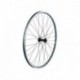 Electra Townie-7D Men's Wheel