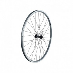 Electra Townie-7D Men's Wheel