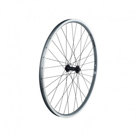 Electra Townie-7D Men's Wheel