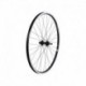 Electra Townie Original-7D Men's Wheel