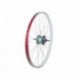 Electra Townie Go! Wheels