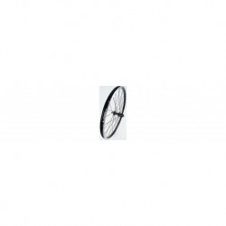 Trek 24"" Quick Release Center Lock Disc Kids Wheel