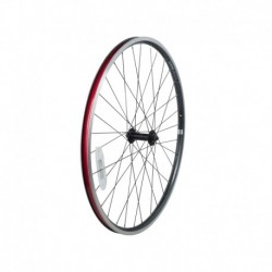 Electra Townie Original-21D Men's Wheel